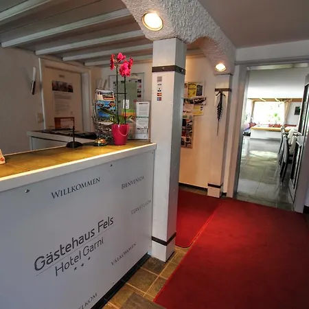 Szálloda Gaestehaus Fels Riezlern